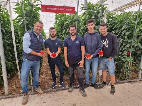 HM.CLAUSE enseña en Dalías sus apuestas de pimiento California para ciclo temprano-medio