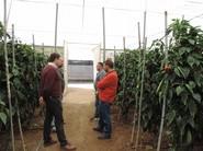 Hubo corrillos de agricultores en todas las fincas.
