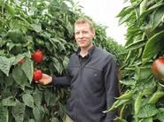 Henry Smienk posando con un cultivo de pimiento California Merlot F1.