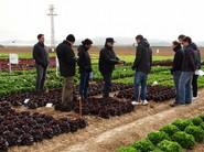 Entre las visitas, agricultores y comerciantes