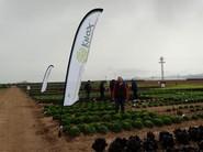 José Luis en medio de una plantación