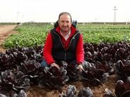 José Luis Sanz, responsable del cultivo de hoja de RZ