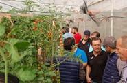 La jornada contó con la asistencia de medio centenar de agricultores.