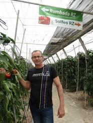 Este productor destacó el buen calibre y uniformidad del fruto de Rumbada RZ