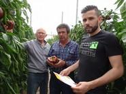 Grupo de agricultores que visitaron las fincas de pimiento California tardío