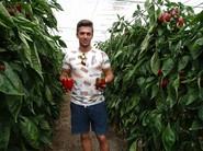 José Luis Bazán Martín, propietario de la finca en las que se enseñaron las variedades de pimiento California