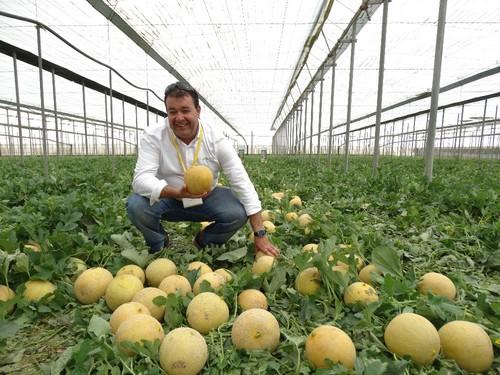 Omar Kaidi es delegado técnico comercial de HM. Clause.