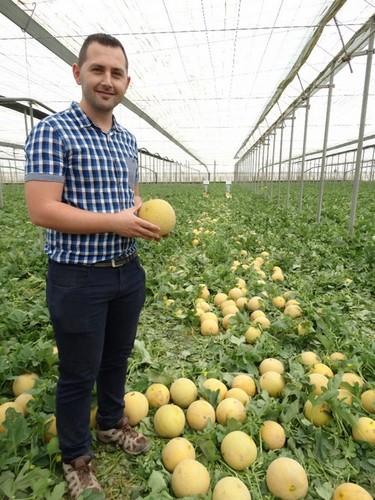 Antonio Peña está cultivando Mistral esta campaña, una variedad que eligió por su calibre.
