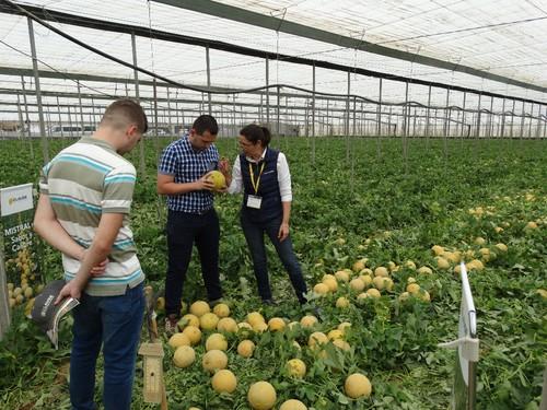 Beatriz Palmero, técnico de desarrollo de HM. Clause, comparte impresiones con los agricultores.