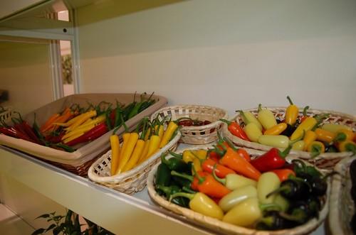 Todos los productos hortícolas están presentes en la feria