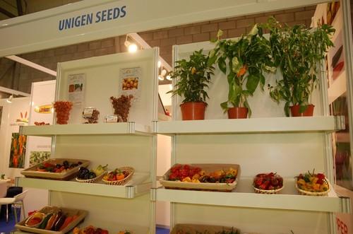 Stand muy elaborado con hortalizas de la provincia