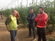 Agricultores intercambiando opiniones acerca de las jornadas de puertas abiertas y de las variedades que están viendo en campo