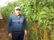 FRANCISCO PEREZ MARTIN, PROPIETARIO DE LA FINCA DE GREGORI F1
