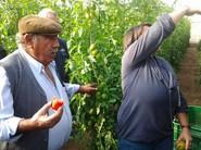 LOS AGRICULTORES PROBARON EL SABOR DE PARIDE