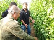 LOS PRODUCTORES DABATIENDO SOBRE EL ASPECTO DE LA PLANTACIÓN DE PARIDE