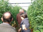 PAQUI ALCAYDE ATENDIENDO A LOS AGRICULTORES