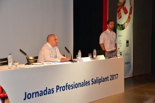 En una cita con las marcas, no podía faltar Sweet Palermo, de Rijk Zwaan.