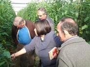 PAQUI SE MOSTRÓ MUY CONDESCENDIENTE CON LOS AGRICULTORES INTERESADOS EN SHAREK F1