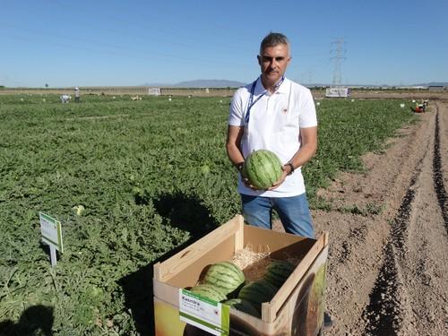 Víctor García es el Product Manager de Cucurbitáceas de Syngenta.