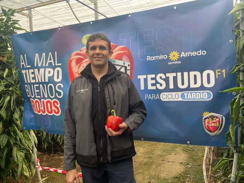 Ramiro Arnedo muestra su California Testudo, de elevada producción y con resistencia alta a oídio