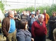 MUCHOS AGRICULTORES