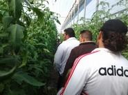  PLANTA A PLANTA VIENDO LA PRODUCCION DE ARES F1
