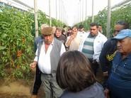 MUCHAS PREGUNTAS SOBRE GREGORI F1