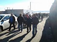 MEDIO CENTENAR DE AGRICULTORES DISPUESTOS A VER VARIEDADES DE TOMATE