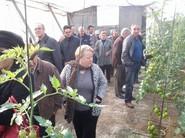 ESPECTACIÓN POR VER EL ESTADO DE LA FINCA DE SHAREK F1