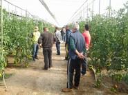 LOS PRODUCTORES ANDARON TODOS LOS RINCONES DE LA FINCA