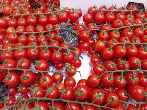 El tomate, protagonista.
