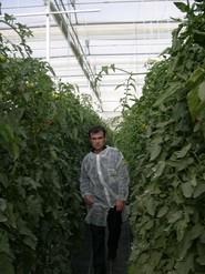 Uno de los participantes quiso ver el cultivo mucho más de cerca.