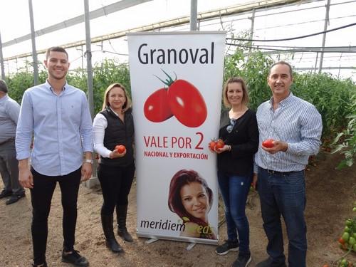 El equipo de Meridiem Seeds