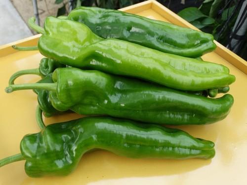 Variedad piamonte, en italiano.