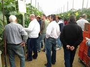 Muchos agricultores en las cuatro fincas