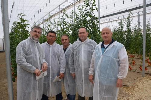 Alberto Domingo, responsable de berenjena de Rijk Zwaan (izqda.), junto a varios agricultores de la zona de Poniente