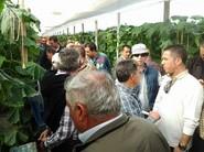 Casi 300 agricultores en la jornada de Tesoro.