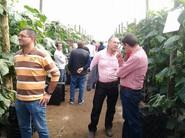 Diálogos sobre la plantación.