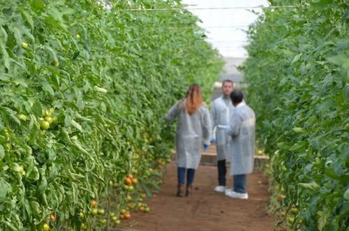 Los agricultores no dudaron en valorar la variedad in situ