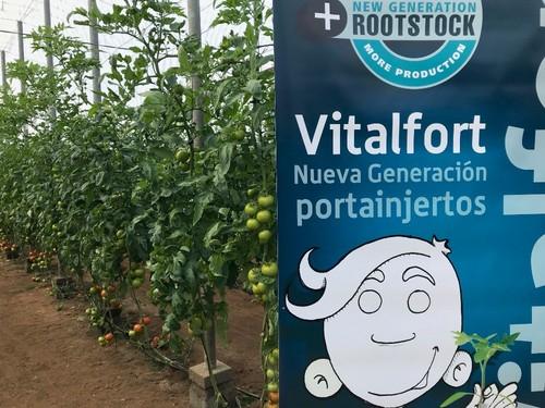 Uno de los pie sobre los que se trasplantó Bateyo en septiembre es Vitalfort