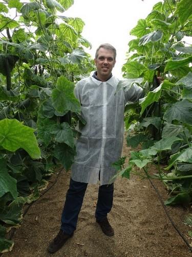 Javier López, responsable de pepino de Rijk Zwaan, mostrando el 24-261 RZ, variedad que estará disponible el año que viene