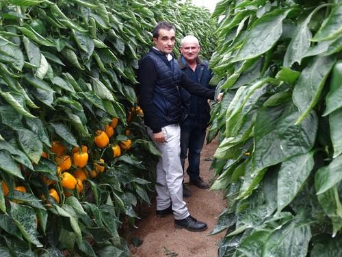 Germán Victoria detalla las propiedades de Mikonos a uno de los agricultores asistentes.