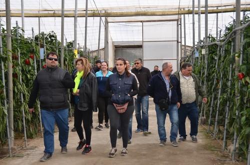 Gran interés por las novedades y variedades de pimiento de Syngenta