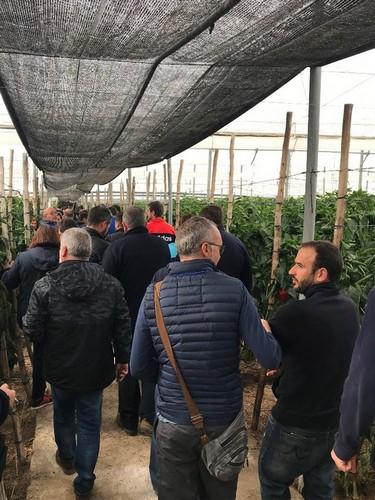 Numerosos agricultores mostraron gran interés por las variedades de Syngenta