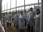 Un grupo de Cataluña, Valencia y Mallorca han estado presentes en las jornadas del martes