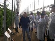 Albert Alcón explicando las características de sus tomates