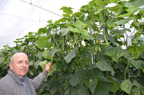 Paco Bazán, propietario de la finca donde se realizó la jornada de campo.