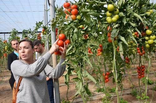 Anabel Pérez, especialist de cultivo, durante su explicación.