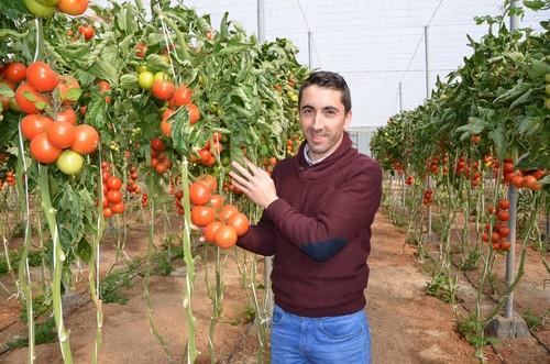 José David Ávila, técnico de Hazera.
