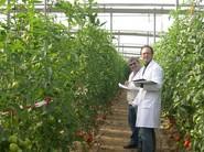 Tomando notas y viendo de cerca las ventajas de las plantas